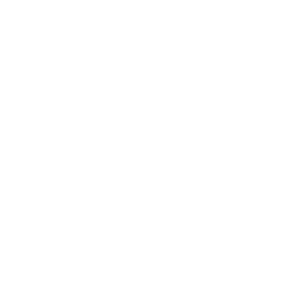 products logo white